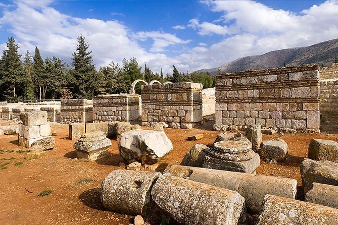 Baalbek - Anjar - Ksara Trip From Beirut - Driver and guide experience: what to watch for on the day