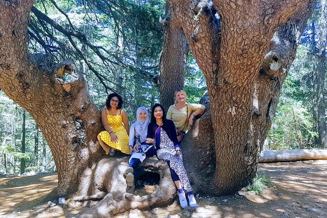 Beirut to Qadisha Valley, Bcharri & Cedar: Daily Tours with Lunch - Lunch in a local Lebanese restaurant: fueling the back half of the day