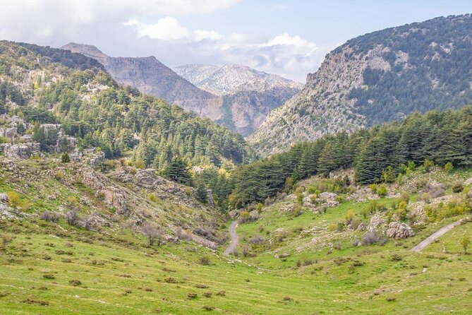 Cedars, Bsharre & Kozhaya Day Tour - Key Points Worth Noticing