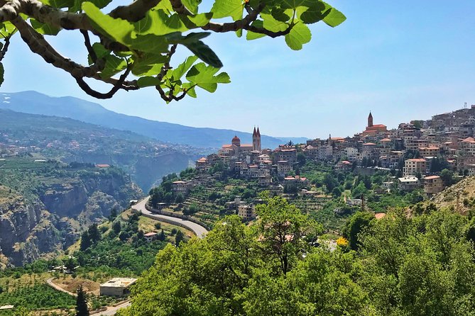 Cedars, Bsharre & Kozhaya Day Tour - Who should book this, and who might want a different style