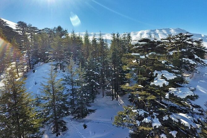 Cedars of Lebanon, Qozhaya, & Bcharre - With Lunch (4G on Board) - Comfort, guide quality, and the photo-friendly pace