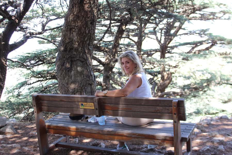 Cedars Shouf & Beiteddine w/pick-up, guide, entries+lunch - Shouf Cedars Reserve: an easy walk through trees the Egyptians prized