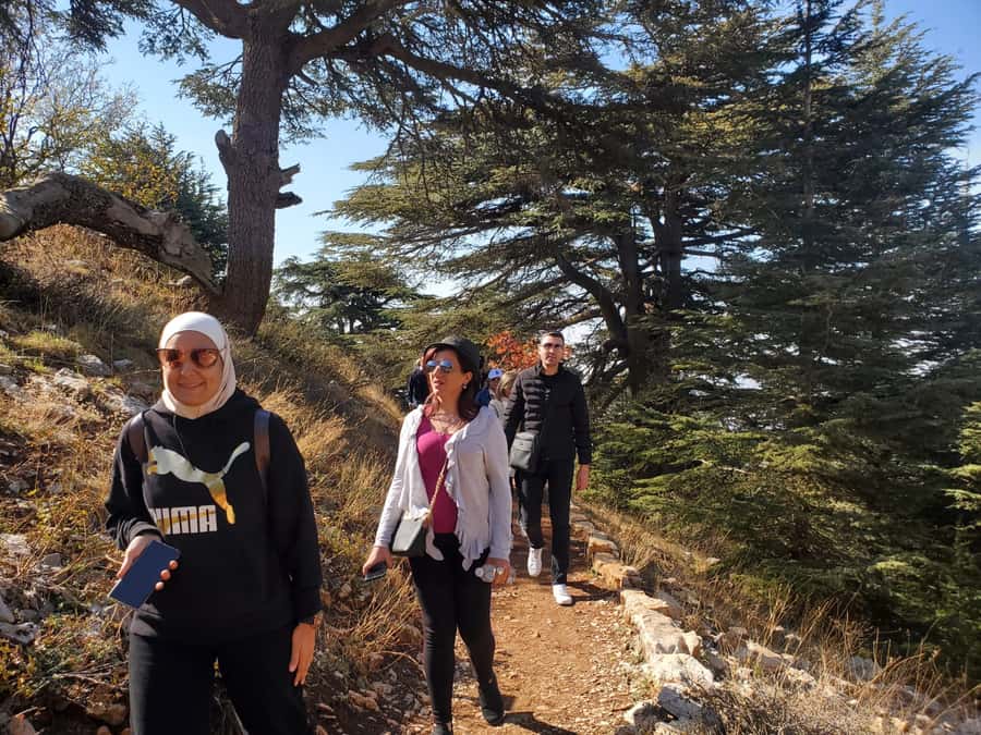 Cedars Shouf & Beiteddine w/pick-up, guide, entries+lunch - Price and value: what $140 really covers