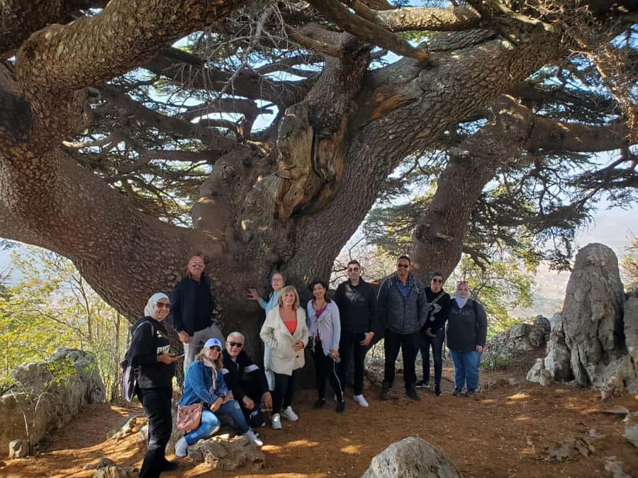 Cedars Shouf & Beiteddine w/pick-up, guide, entries+lunch - Who should book, and who should choose something else