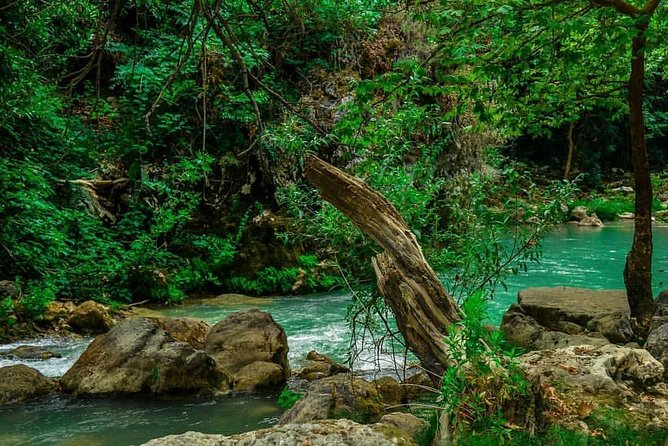 Chouwen Lake Hiking & Swimming - Guides, pacing, and why small groups make the day nicer