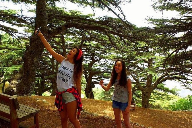 Deir Al-Qamar, Beiteddine Palace and Barouk Cedars Tour - Beirut pickup, private transport, and how to make the day easy