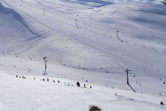 Faraya Ski Resort Lebanon - How to plan your ski time with 25 chairlifts and 50 runs