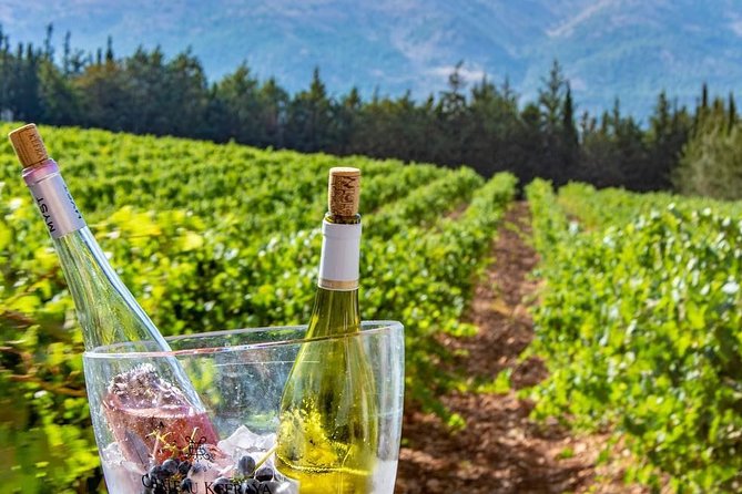 Full-Day Private Wine Tasting Tour - Lunch and Timing, How to Make This 8-Hour Day Work for You