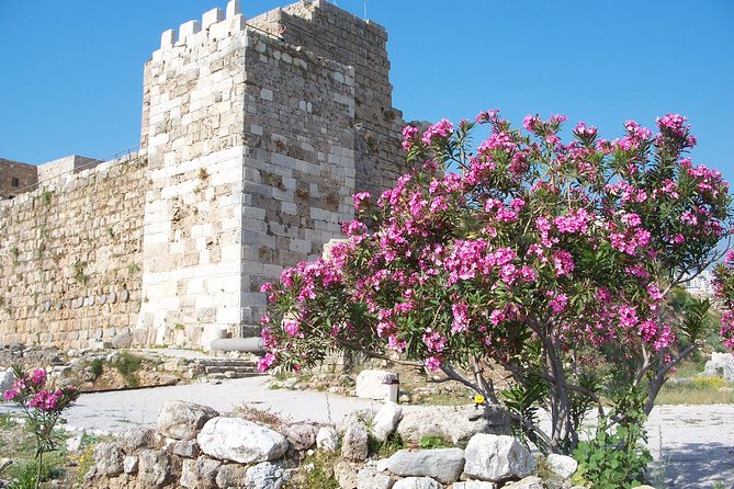 Guided Full-Day Private Tour to Jeita Grotto, Byblos and Baalbek - Timing, comfort, and how to make the 10-hour day feel easy