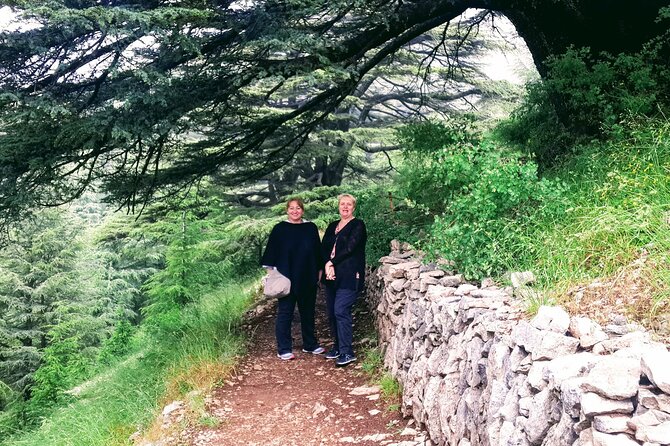 Guided Full-Day Private Trip to Cedars, Baalbek and Chateau Ksara - A Full-Day Private Circuit Through Baalbek, Chateau Ksara, and the Cedars