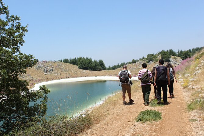 Guided small group to Cedars Reserve & Beiteddine w/lunch+entries - Shouf Cedars Reserve: Barouk cedars and cooler mountain air
