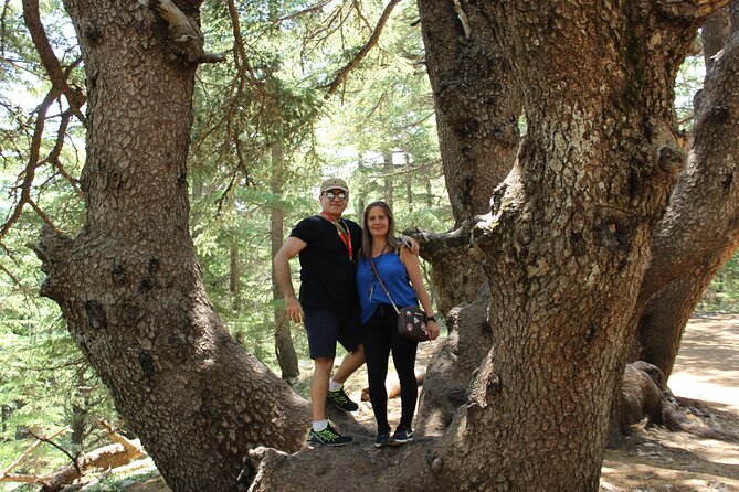 Guided small group to Cedars Reserve & Beiteddine w/lunch+entries - Comfort and safety tips for mountain Lebanon