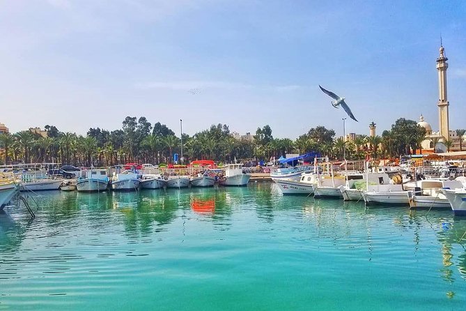 Guided Small-Group Tour to Tripoli and Batroun with Lunch - Quirky Stops That Add Texture: Soap, Sweets, Fairgrounds, and the Port