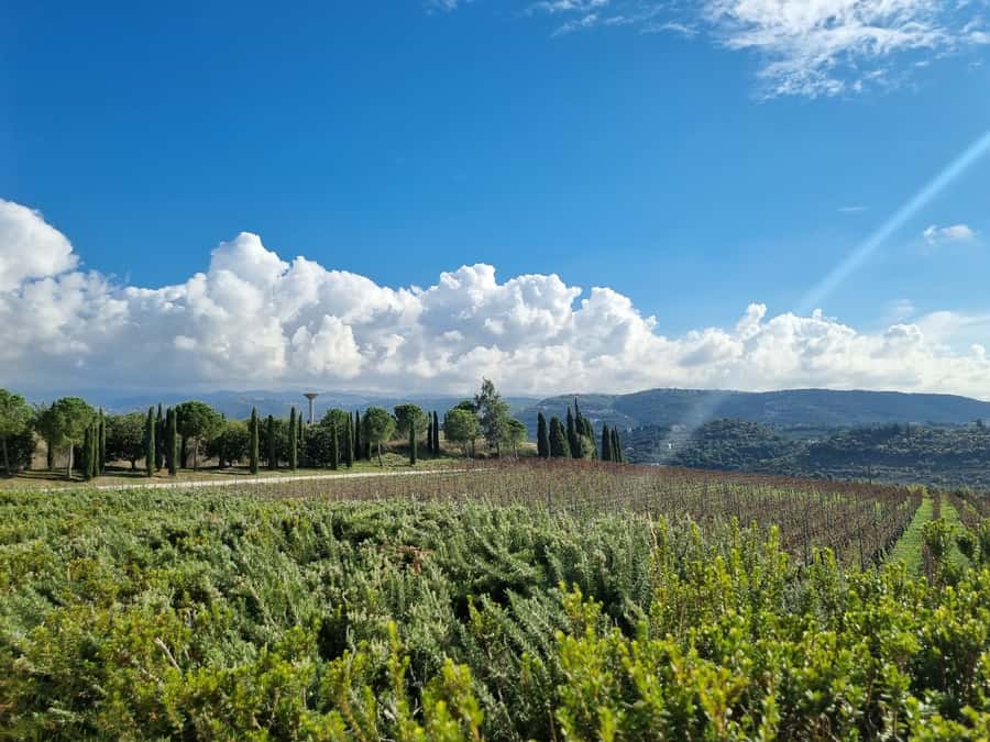 Lebanese wineries guided tour with tastings & lunch - Chateau Ksara caves: the cool start that sets your tasting mindset
