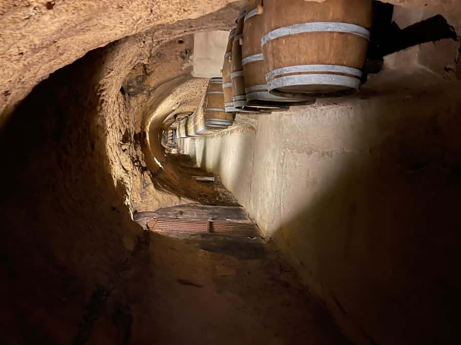Lebanese wineries guided tour with tastings & lunch - Chateau Kefraya: guided tasting that helps you compare styles