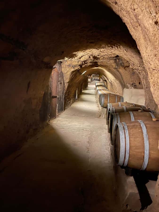 Lebanese wineries guided tour with tastings & lunch - What you will taste: wines, plus arak or white milk