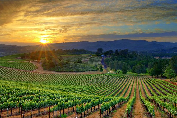 Lebanon Wine Tasting Tour From Beirut - Price and value, the real way to judge the $91-ish cost