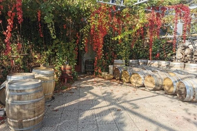 Lebanon Wine Tasting Tour From Beirut - What to drink, what to eat, and how to pace your day