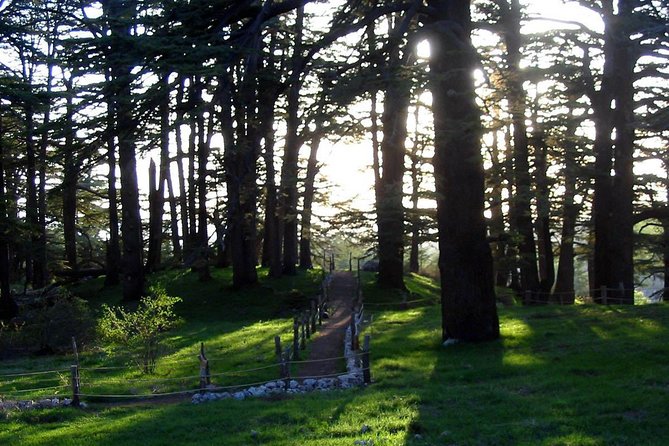 PRIVATE Tour to Cedars of God, Besharre & Qozhaya Valley - Key points I’d circle before you book