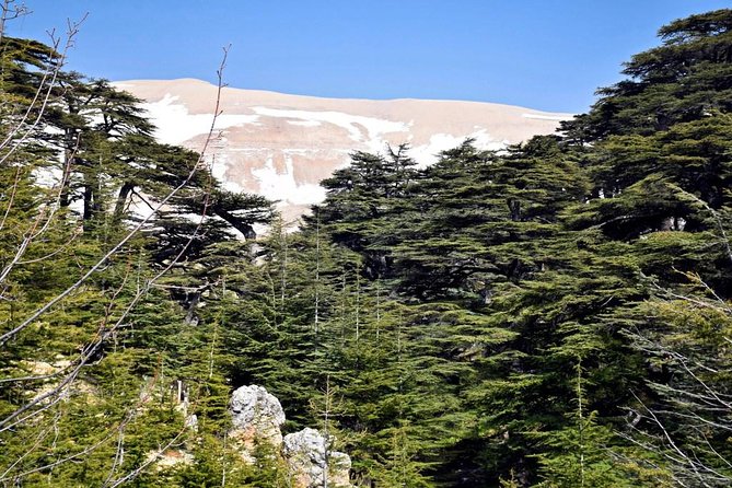 PRIVATE Tour to Cedars of God, Besharre & Qozhaya Valley - Stop 2: Besharre’s Gebran Khalil Gebran museum inside an old monastery