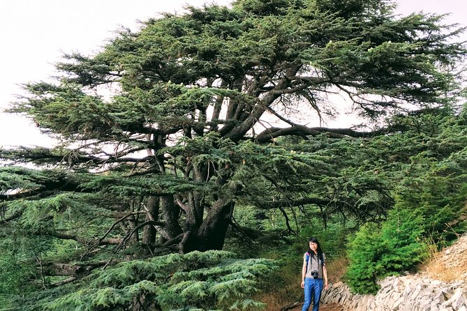 Private Trip to Beiteddine, Deir el Qamar & Maaser el Chouf Cedars - Key things to know before you go