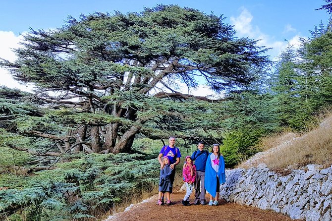 Private Trip to Beiteddine, Deir el Qamar & Maaser el Chouf Cedars - Why This Private Day Trip Works: Palace, Village, Cedars