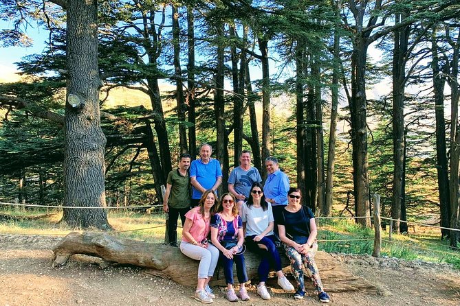 Private Trip to Qadisha Valley, Bcharri and Cedars of God - A Mountain Day With Cave Monasteries and Lebanon’s Cedars