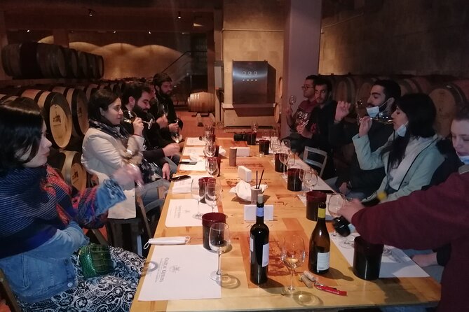 PRIVATE Wine Tasting Tour to the Bekaa Valey Fabulous Wineries - Bekaa Valley Wine Without the Driving Stress