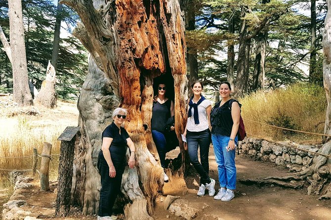 Small-Group Tour with Lunch to Qadisha Valley, Bcharre and Cedars - Getting there smoothly: pickup, A/C, and the daily rhythm