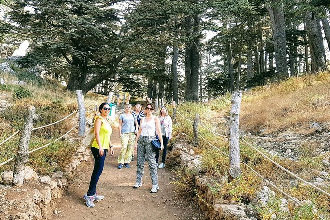 Small-Group Tour with Lunch to Qadisha Valley, Bcharre and Cedars - Bcharre: cedar town, the Jubran legacy, and the city of churches