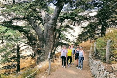 Small-Group Tour with Lunch to Qadisha Valley, Bcharre and Cedars