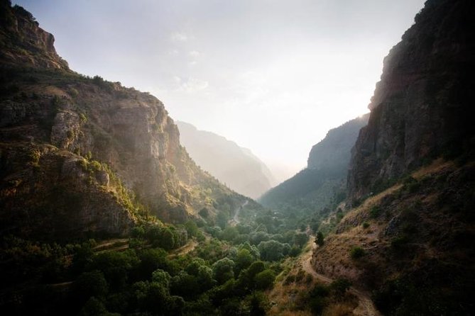 Small-Group Tour with Lunch to Qadisha Valley, Bcharre and Cedars - Walking the Cedars of God: 375 trees and Bible ties