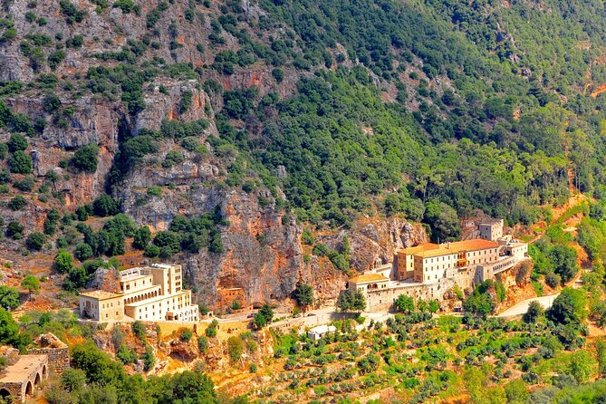 Small Group Tours to Qadisha Valley, Bcharre and Cedars with lunch and all fees - Cedars of God: 375 trees, 103 Bible mentions, and a national symbol
