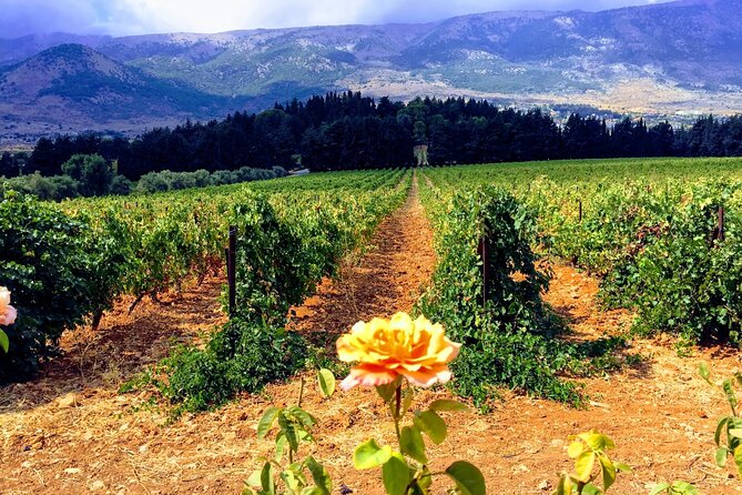 Wine Tasting and Culture - Baalbek and Beqaa: a day with real contrast (and real meaning)